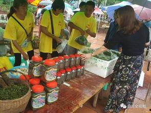 洪大炮吃瓜,揭秘娱乐圈幕后风云